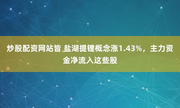 炒股配资网站皆 盐湖提锂概念涨1.43%，主力资金净流入这些股
